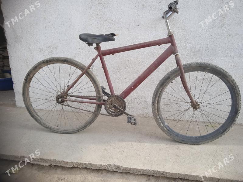 tigir - Кëши - img 2