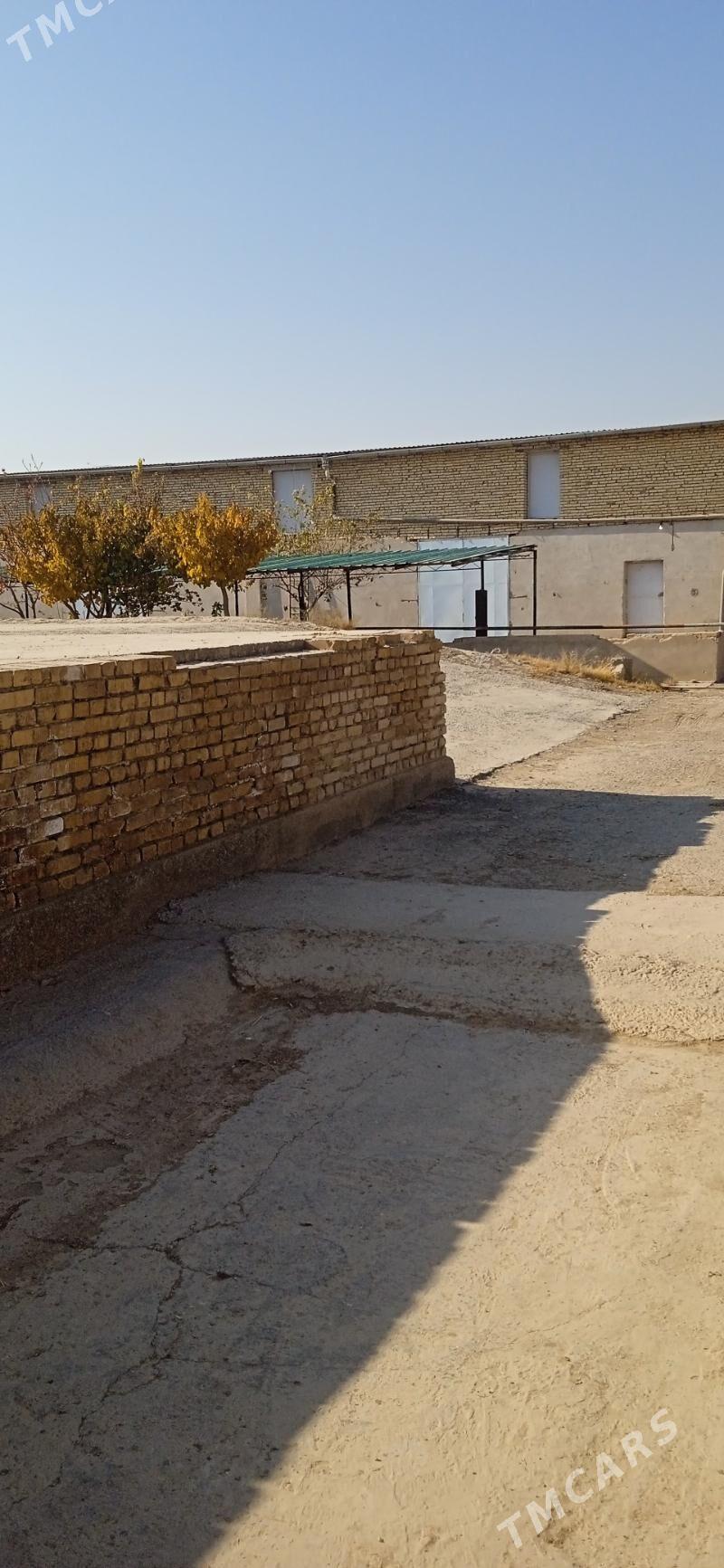 Продажа - Туркменабат - img 8