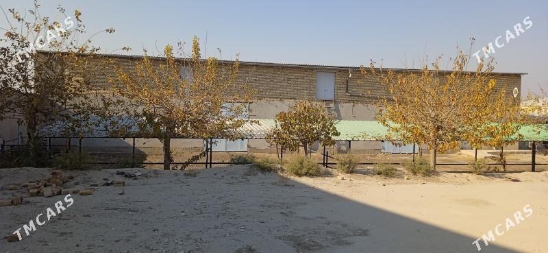 Продажа - Туркменабат - img 6