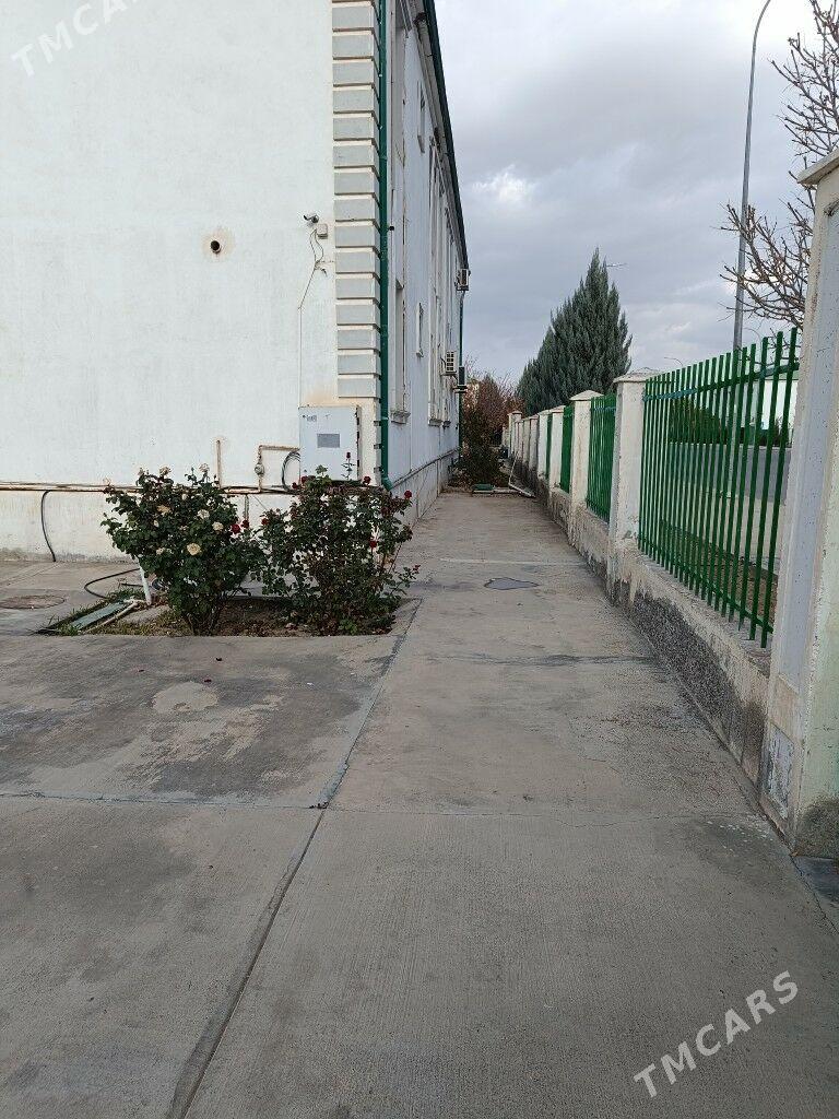 taze zaman satlyk - Тязе заман - img 2