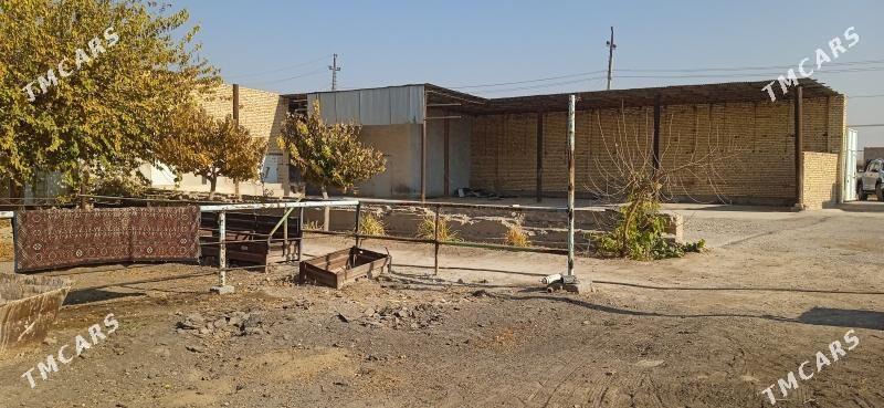 Продажа - Туркменабат - img 10