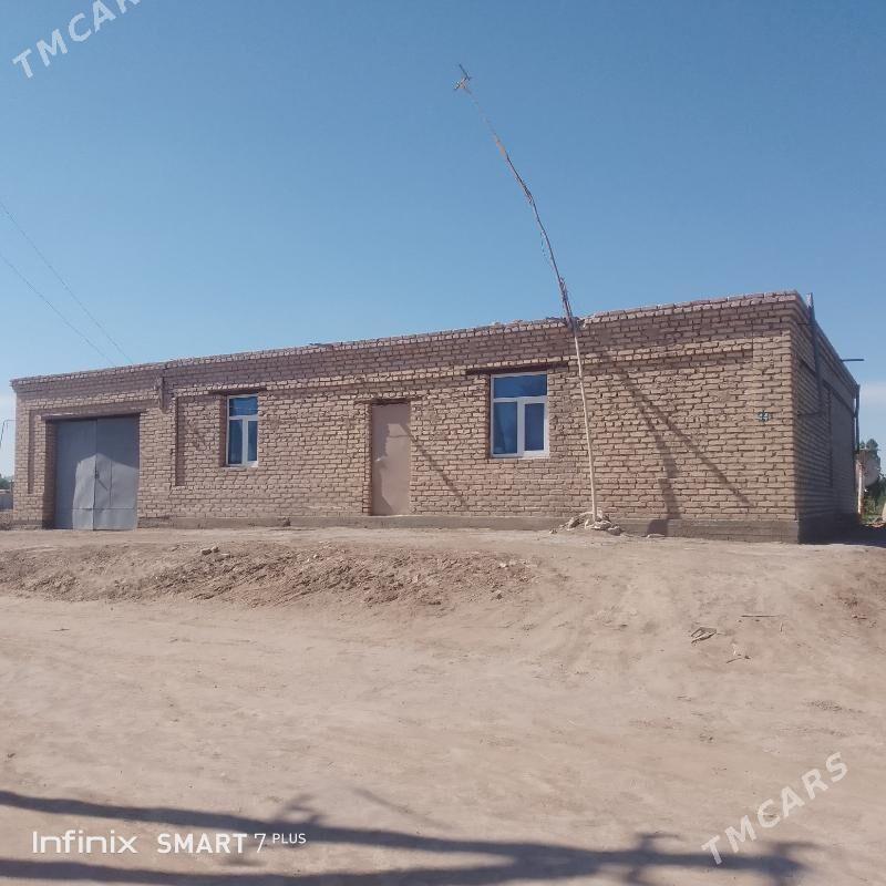 satlyk jay - Гороглы (Тагта) - img 1