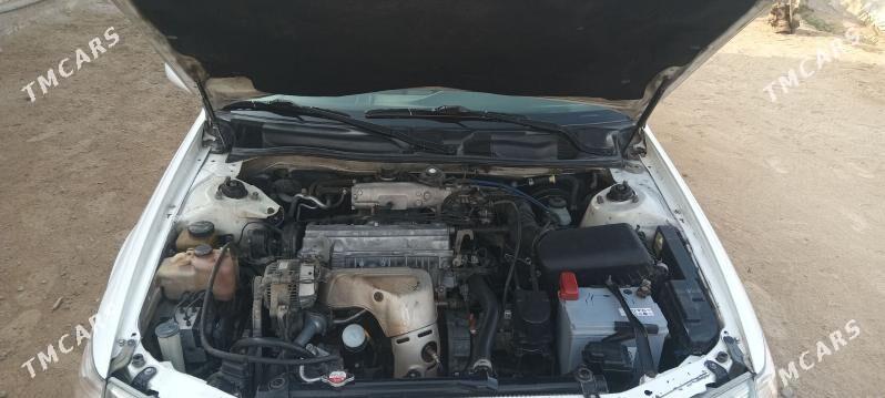 Toyota Camry 2001 - 155 000 TMT - Sakarçäge - img 6