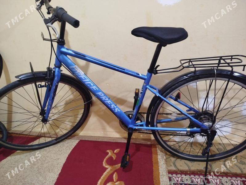 тигир - Аркадаг - img 2