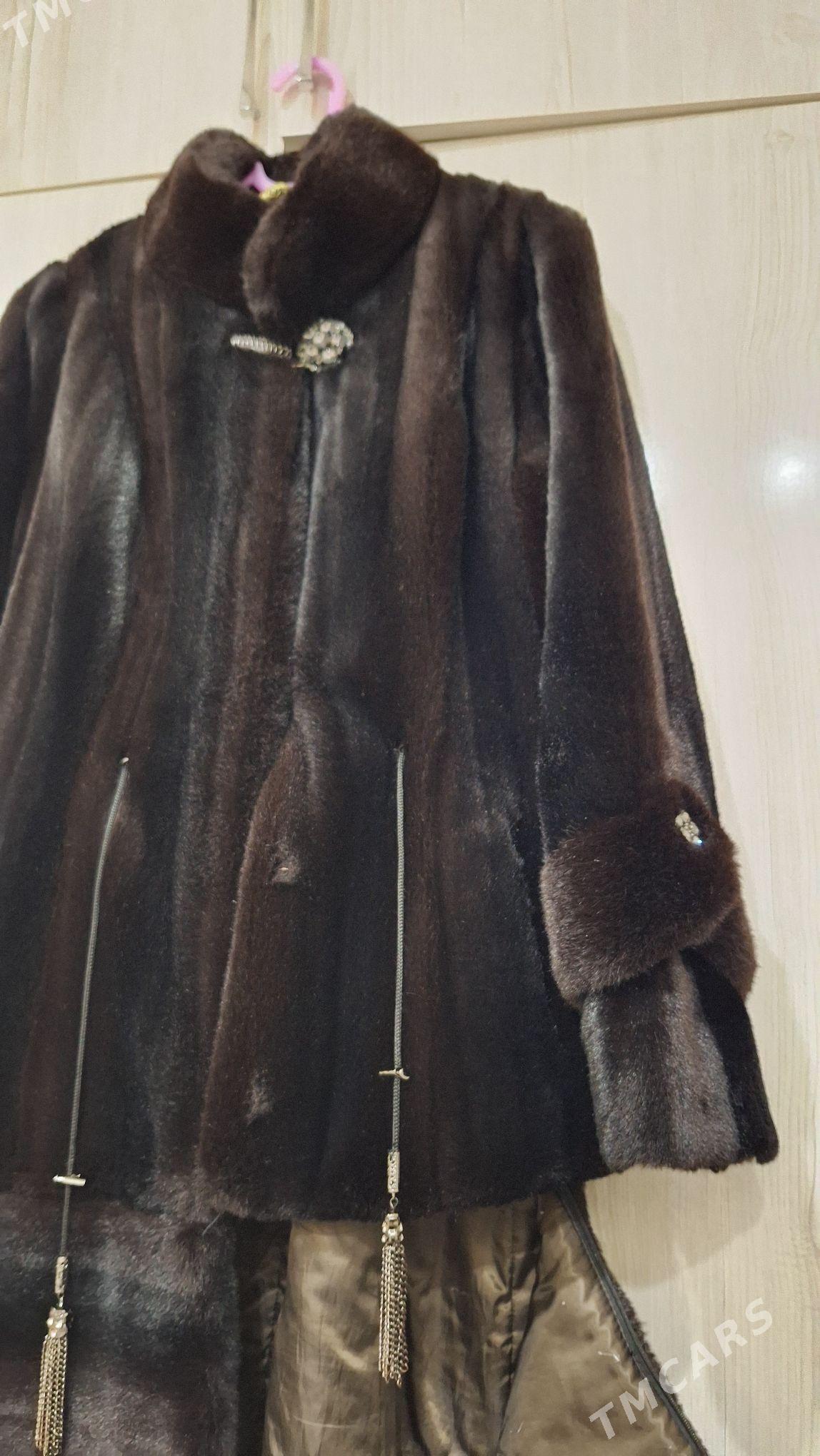 Şuba - Büzmeýin - img 4