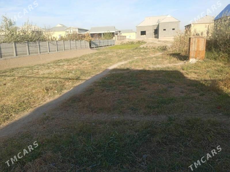 satlyk jaŷ - Sakarçäge - img 2