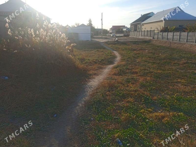 satlyk jaŷ - Sakarçäge - img 4