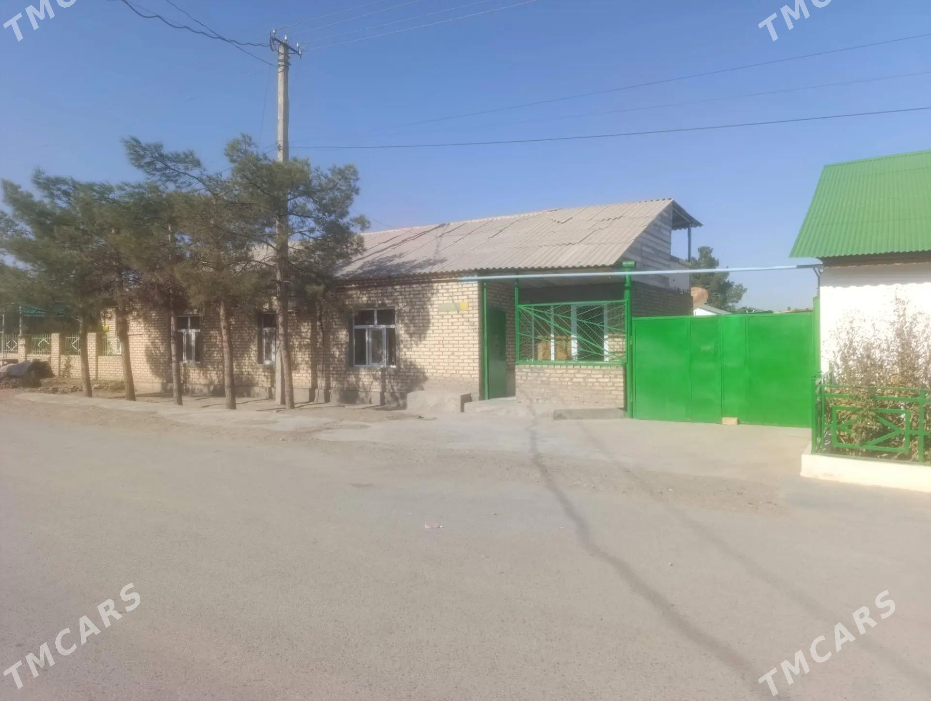 Anew plan jay - Änew - img 2