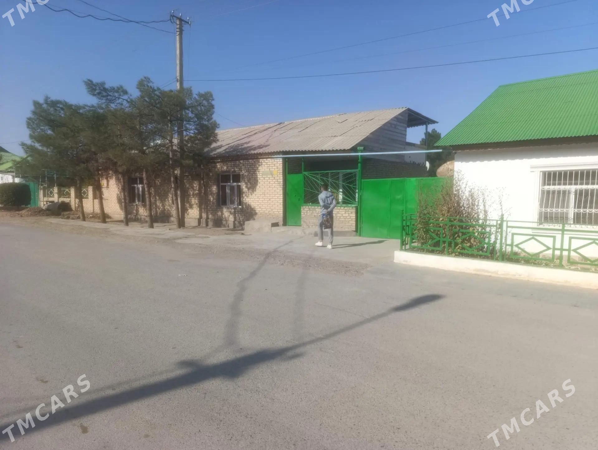 Anew plan jay - Änew - img 4