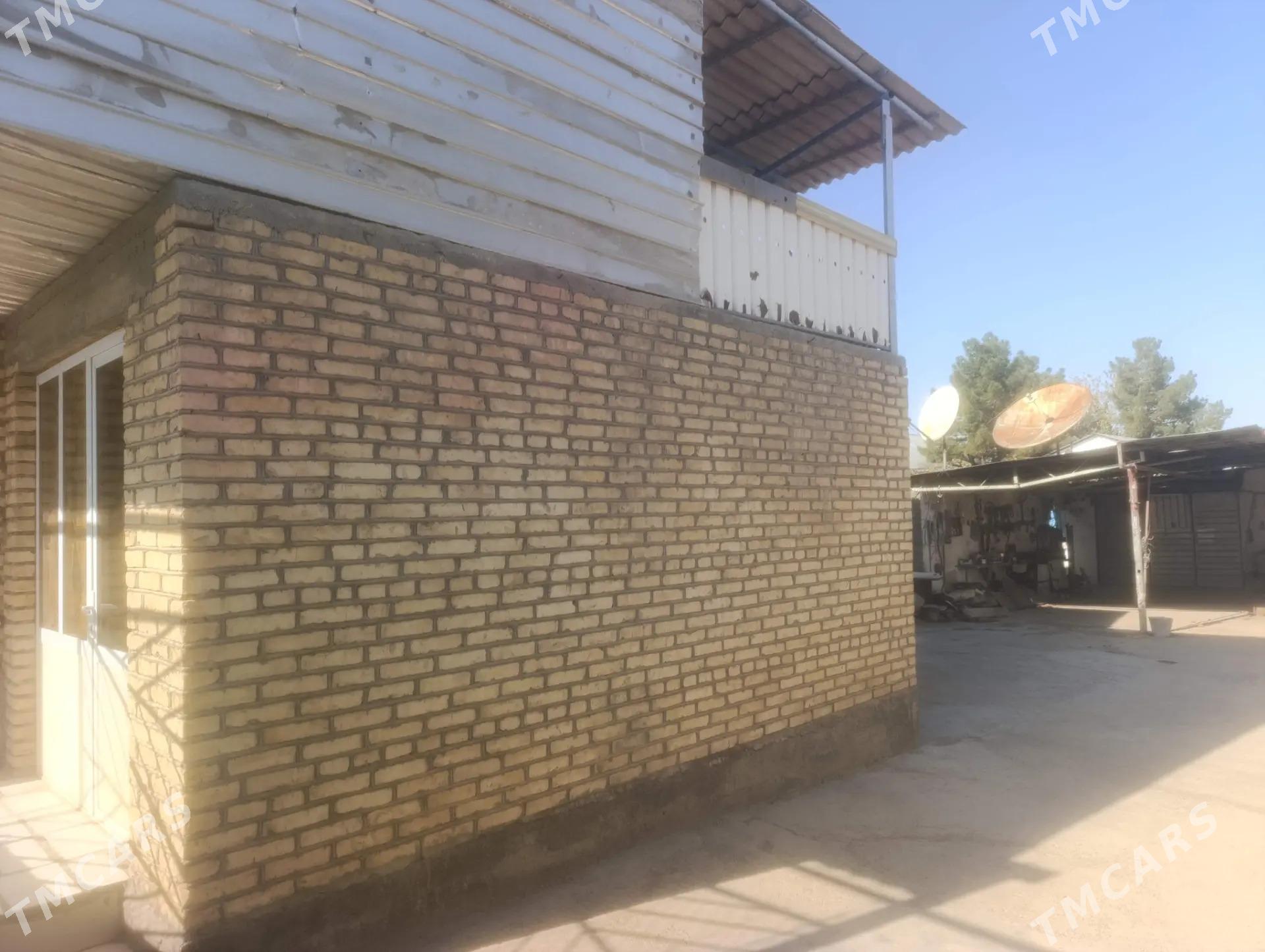 Anew plan jay - Änew - img 3