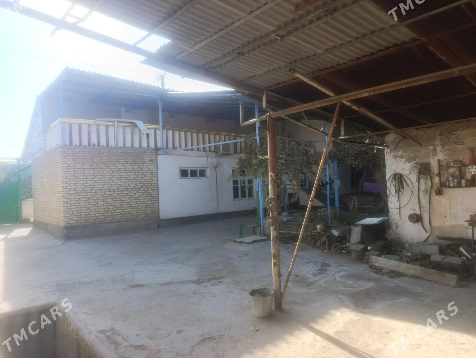 Anew plan jay - Änew - img 5