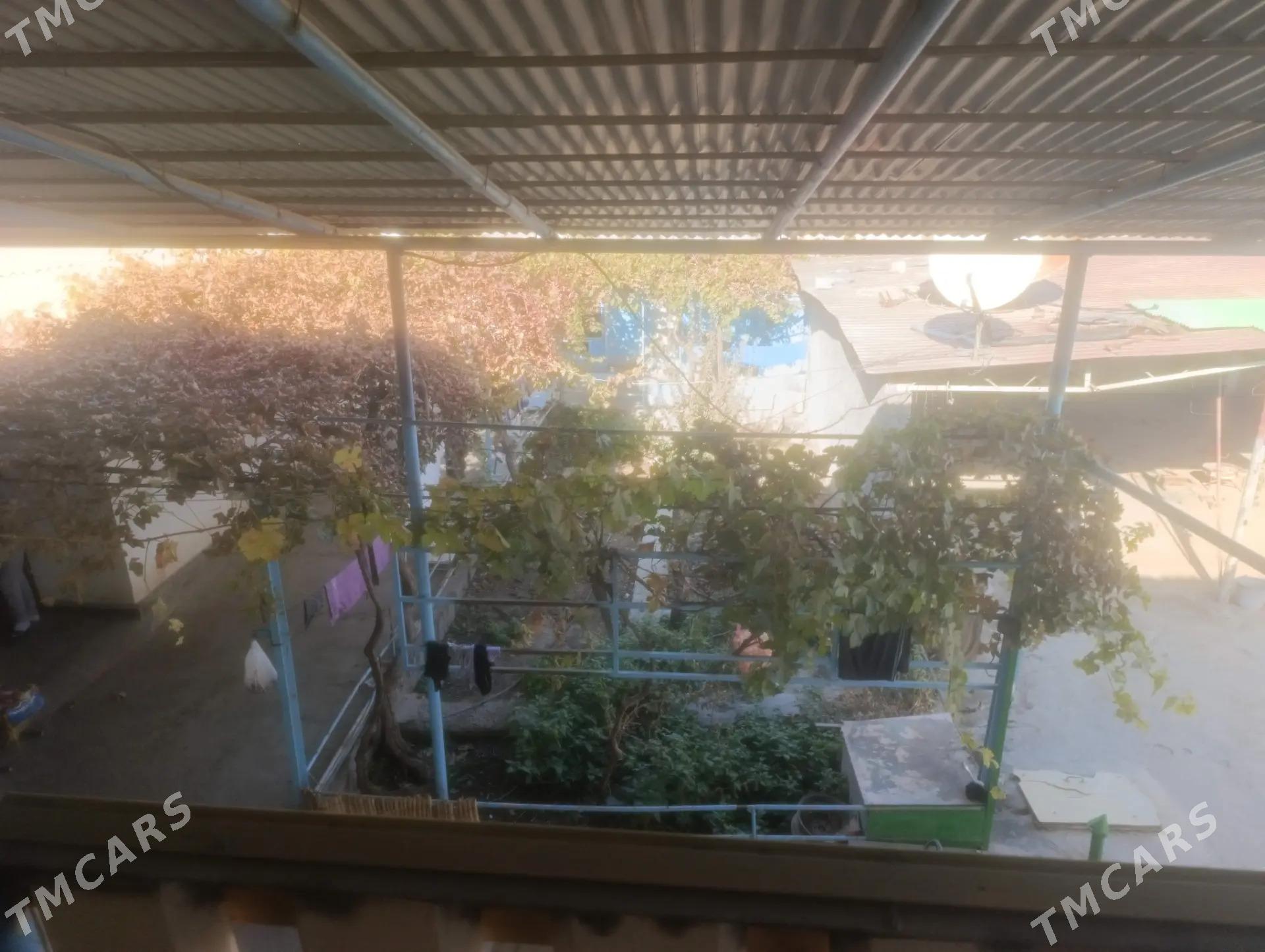 Anew plan jay - Änew - img 6