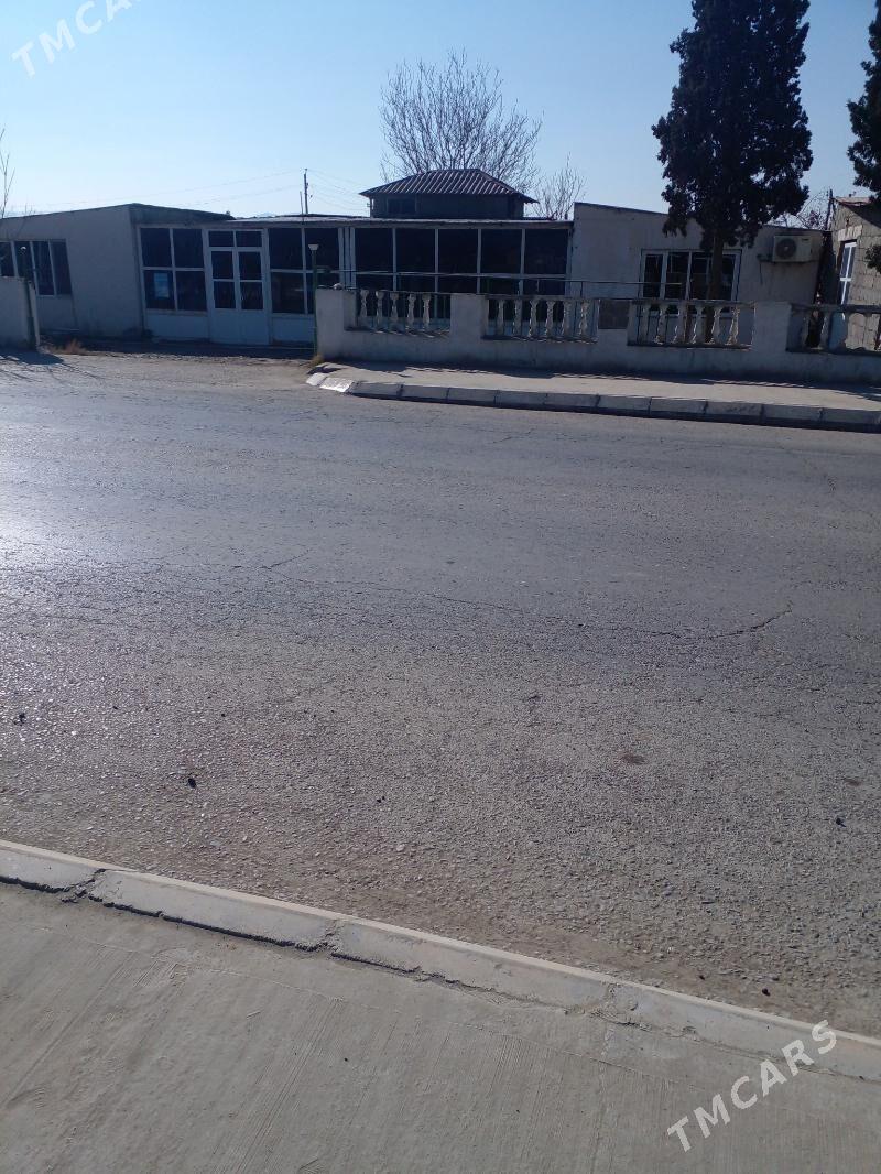 Yaśayys jay, magazyn gornusde - Magtymguly - img 5