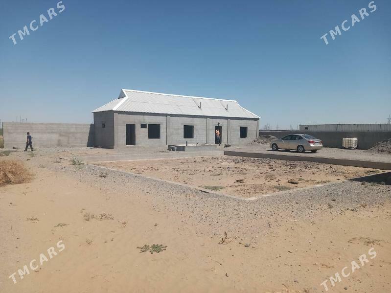 Satlyk jay - Бузмеин - img 5