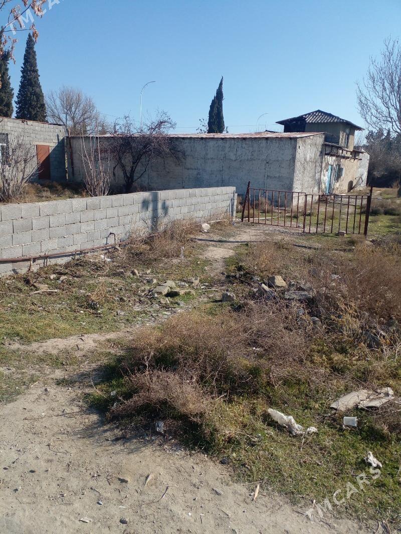 Yaśayys jay, magazyn gornusde - Magtymguly - img 8