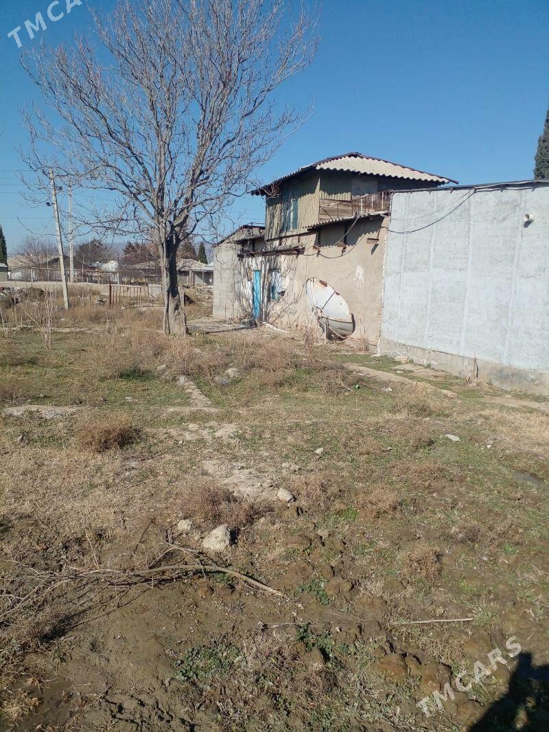 Yaśayys jay, magazyn gornusde - Magtymguly - img 3