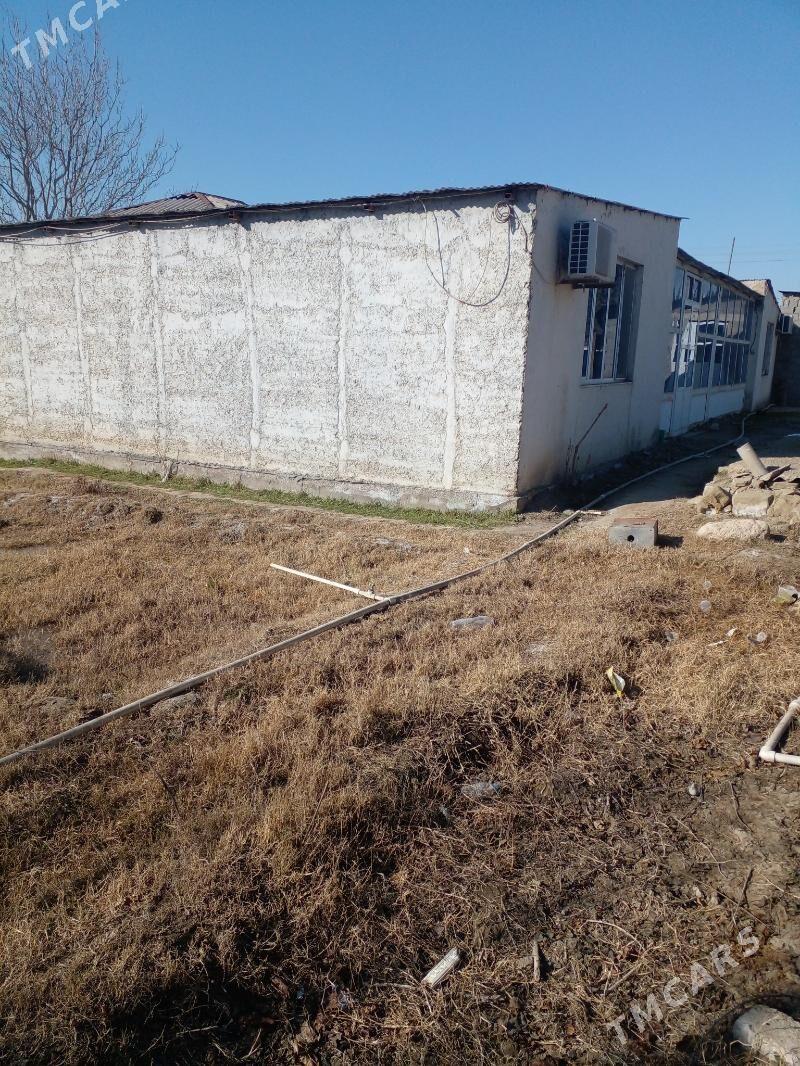 Yaśayys jay, magazyn gornusde - Magtymguly - img 4