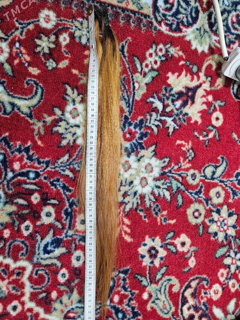 naturalny sac - Aşgabat - img 2