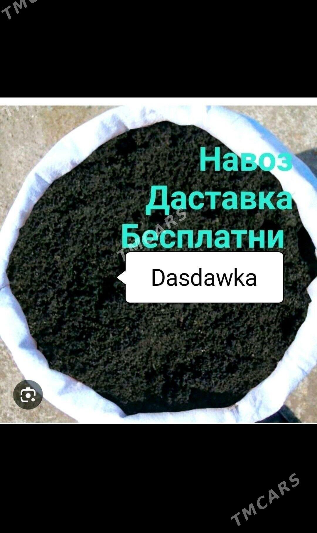 DERS MİTİ PULPA GUM CAGE TOYUN - Bedew - img 5