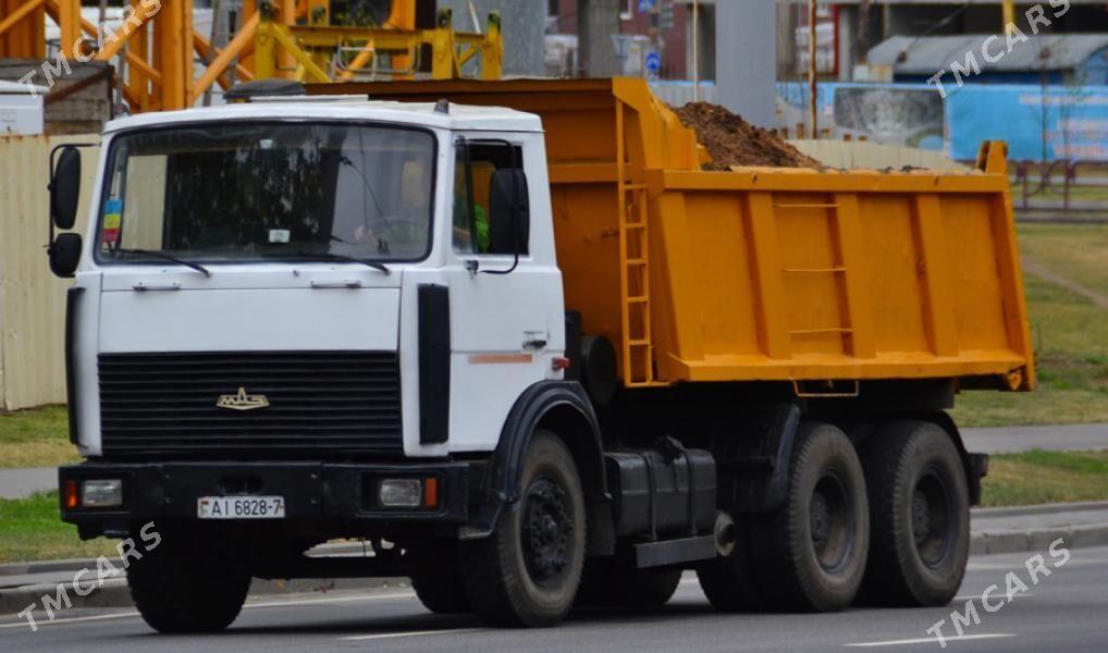 DERS MİTİ PULPA GUM CAGE TOYUN - Bedew - img 7