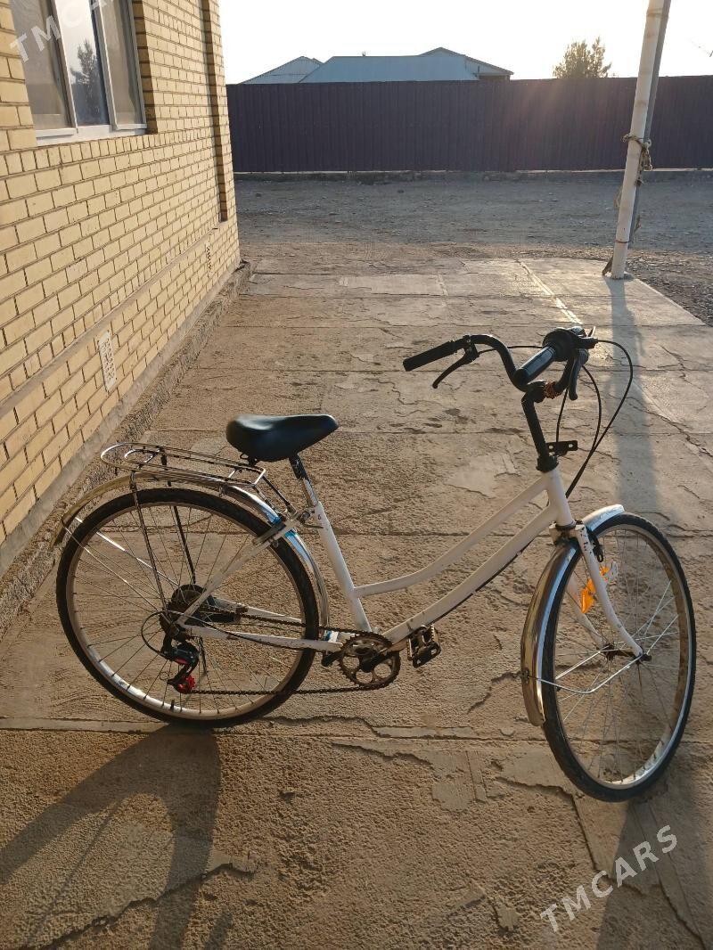 welisopet 26lyk - Murgap - img 2