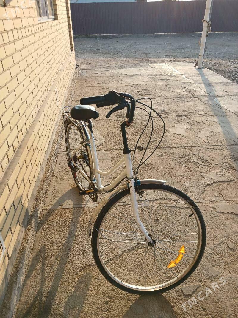 welisopet 26lyk - Murgap - img 3