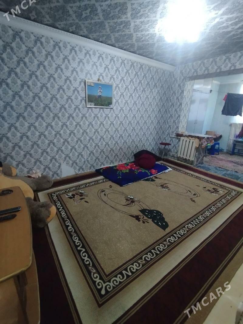 Satlyk jay - Мары - img 5