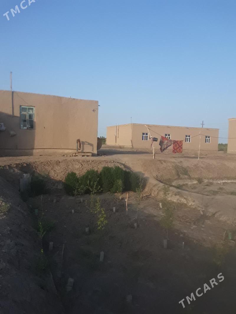 jay - Akdepe - img 3