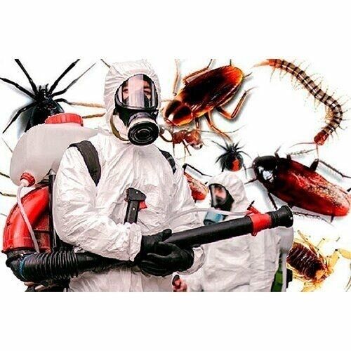 дезинфекции \Tagta bit - Aşgabat - img 2