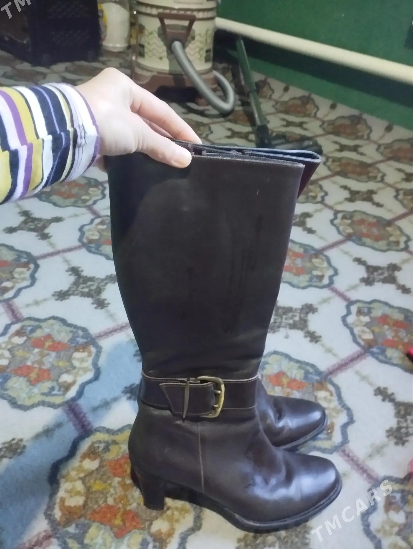 Adik - Daşoguz - img 3