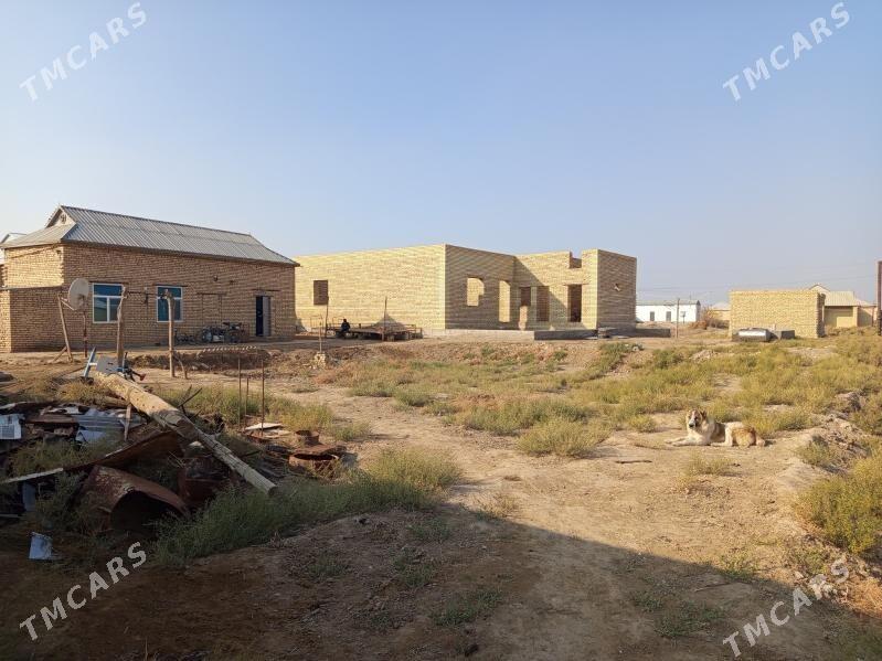 satlyk jay - Baýramaly - img 2