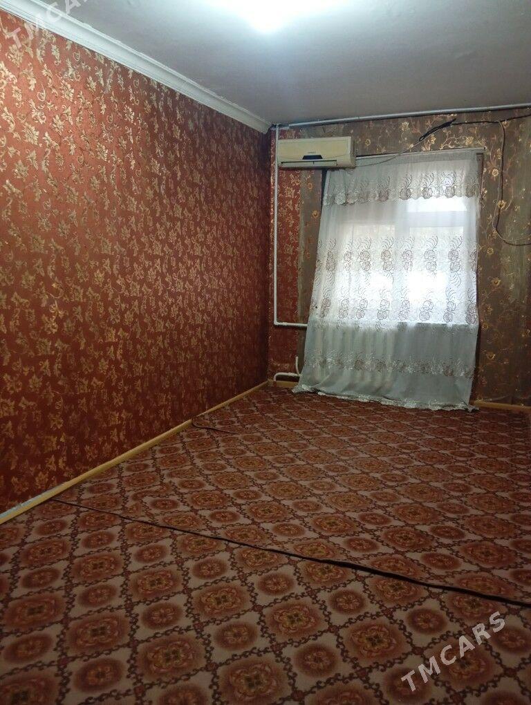 Arenda jay  - Mary - img 6