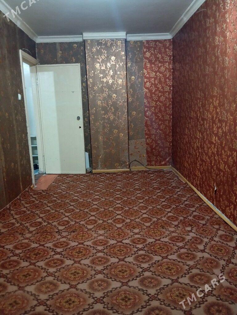 Arenda jay  - Mary - img 5