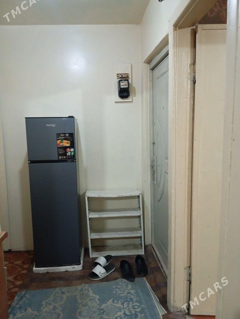 Arenda jay  - Mary - img 7