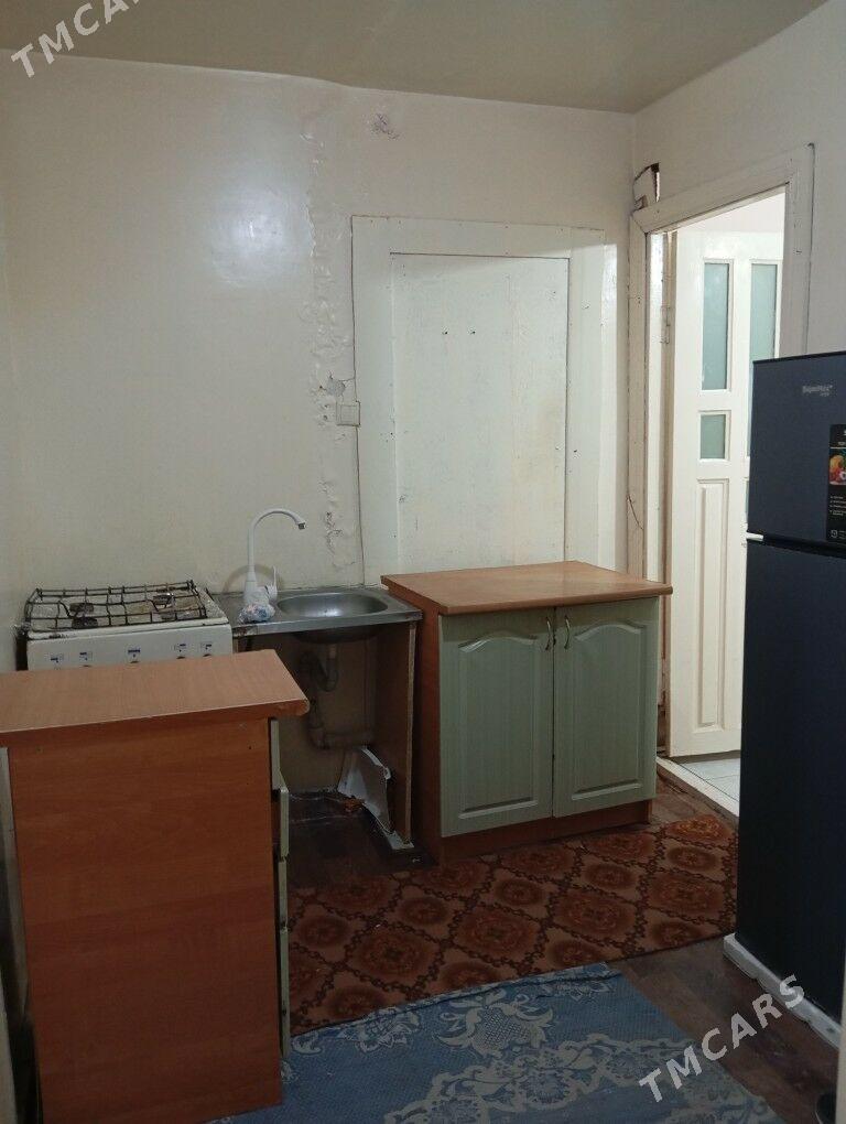 Arenda jay  - Mary - img 2