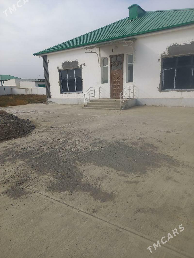 Kopetdagyñ yalkymy - Gökdepe - img 3