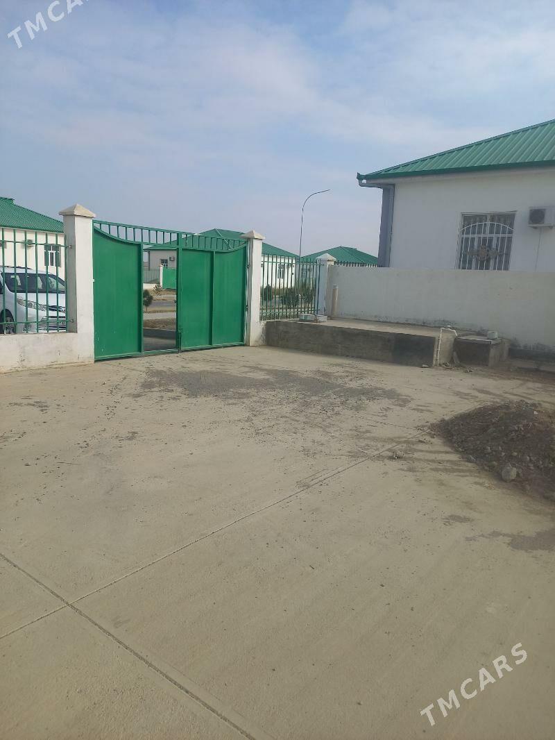 Kopetdagyñ yalkymy - Gökdepe - img 1