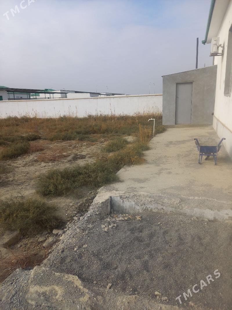 Kopetdagyñ yalkymy - Gökdepe - img 7