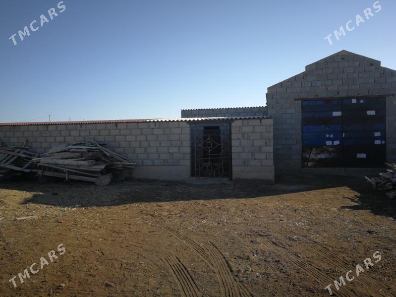 garadepe yer cetde - Esenguly - img 2