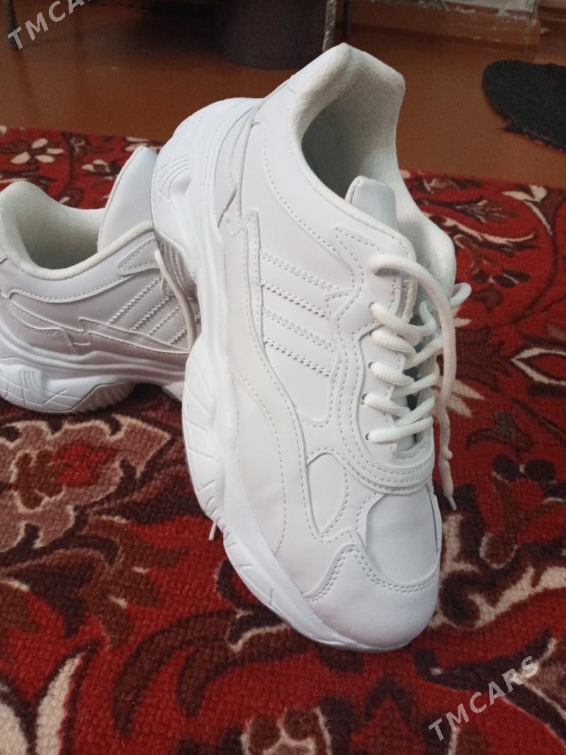 Красовка - Дашогуз - img 2