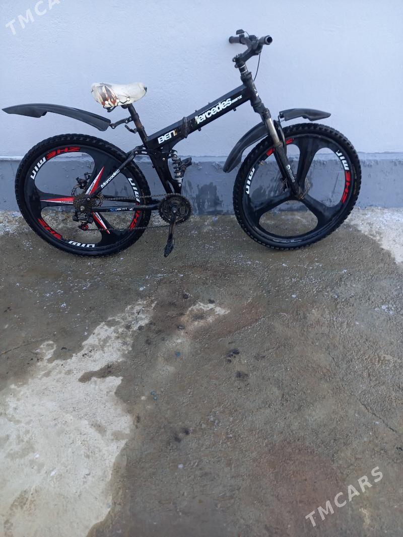 Welsepit ikisi bile - Ak bugdaý etraby - img 4