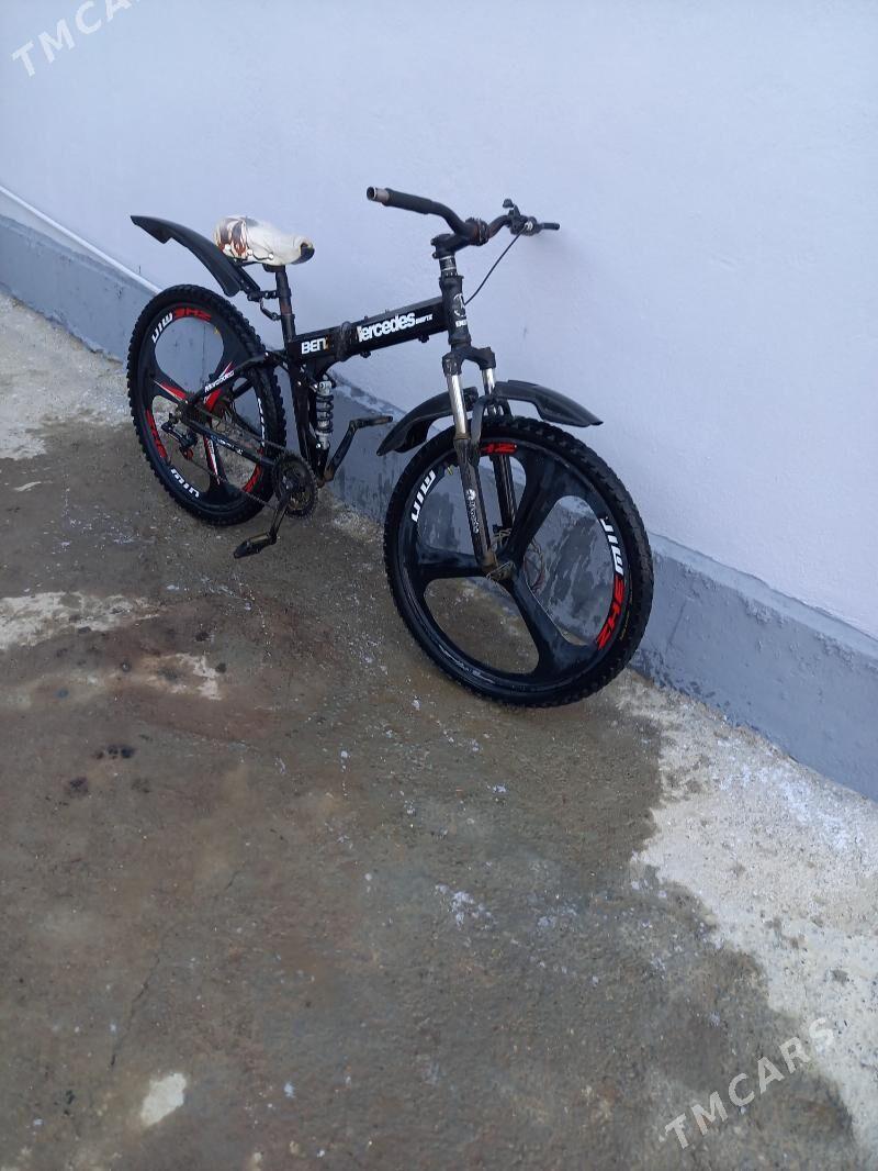 Welsepit ikisi bile - Ak bugdaý etraby - img 3