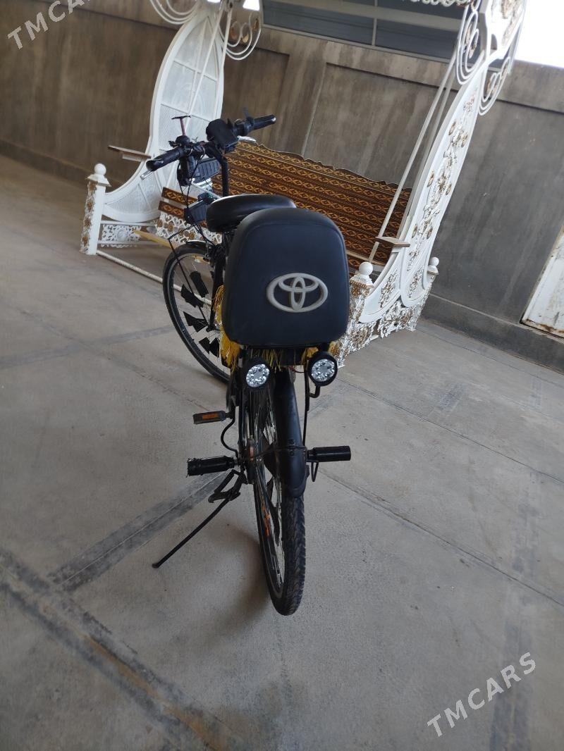 Welsebit - Mary - img 9