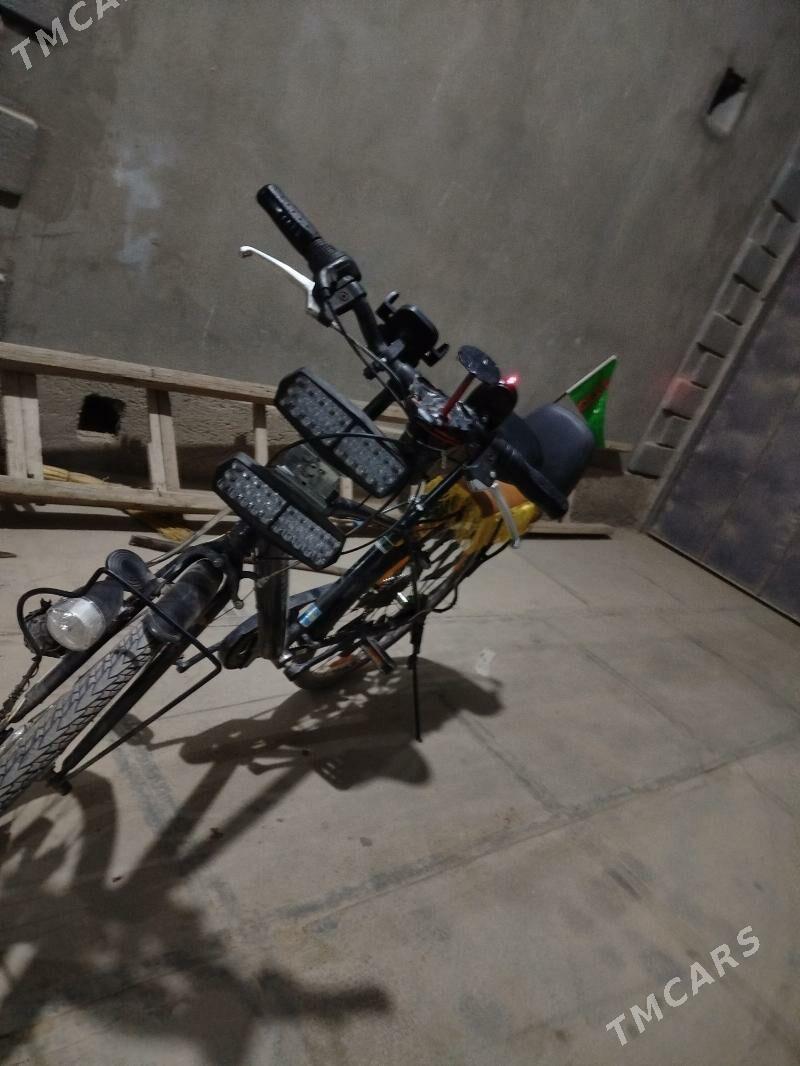 Welsebit - Mary - img 5