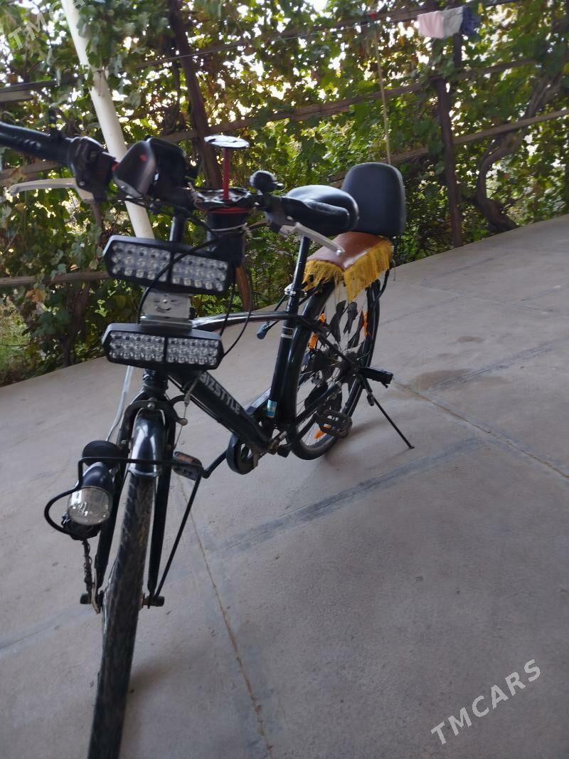 Welsebit - Mary - img 8