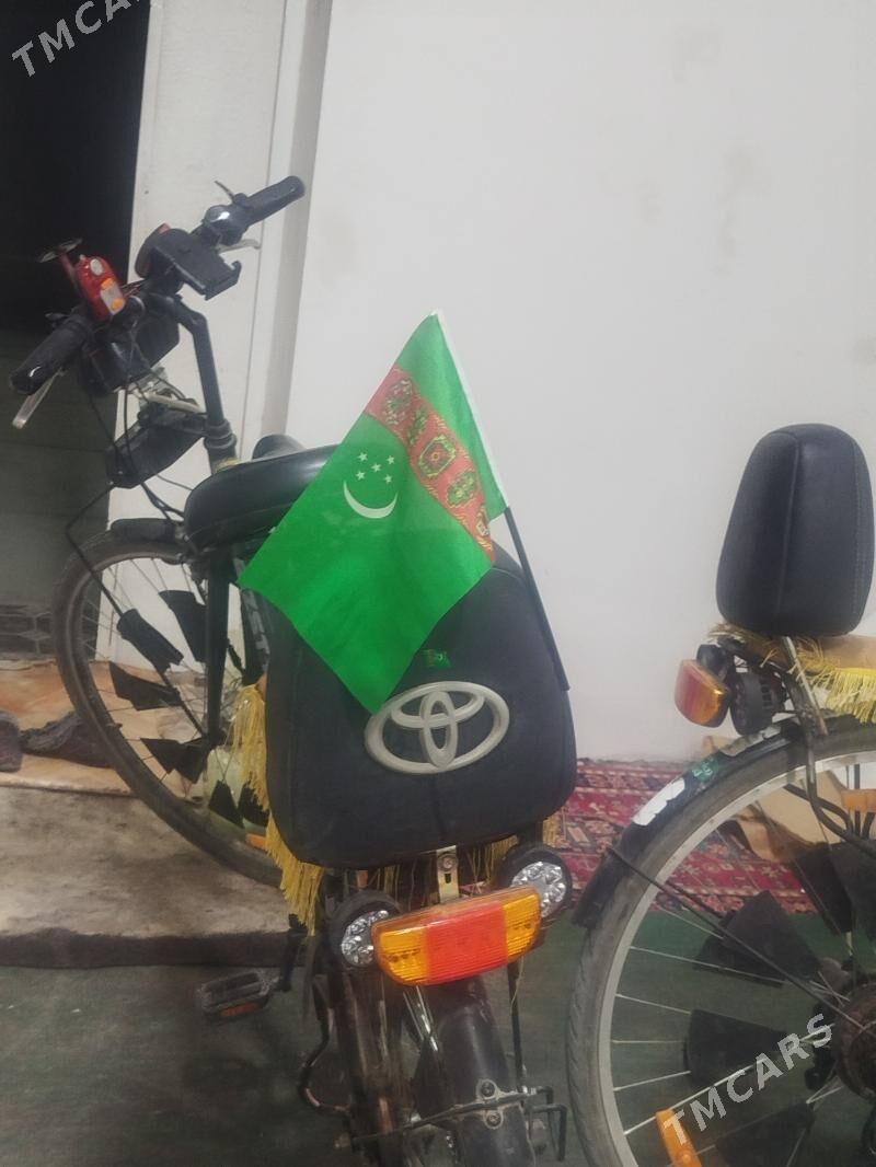 Welsebit - Mary - img 7