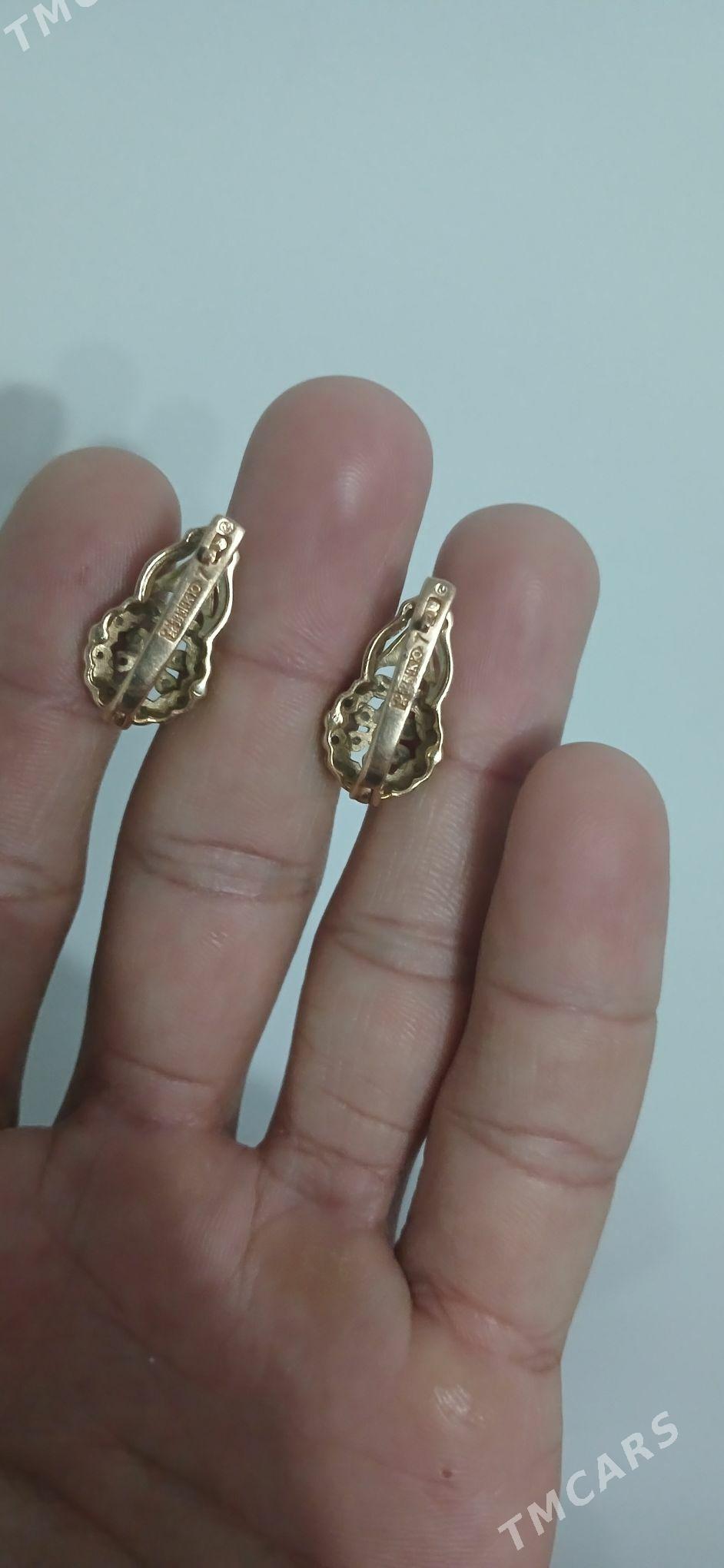 gyzyl syrga - Болдумсаз - img 2