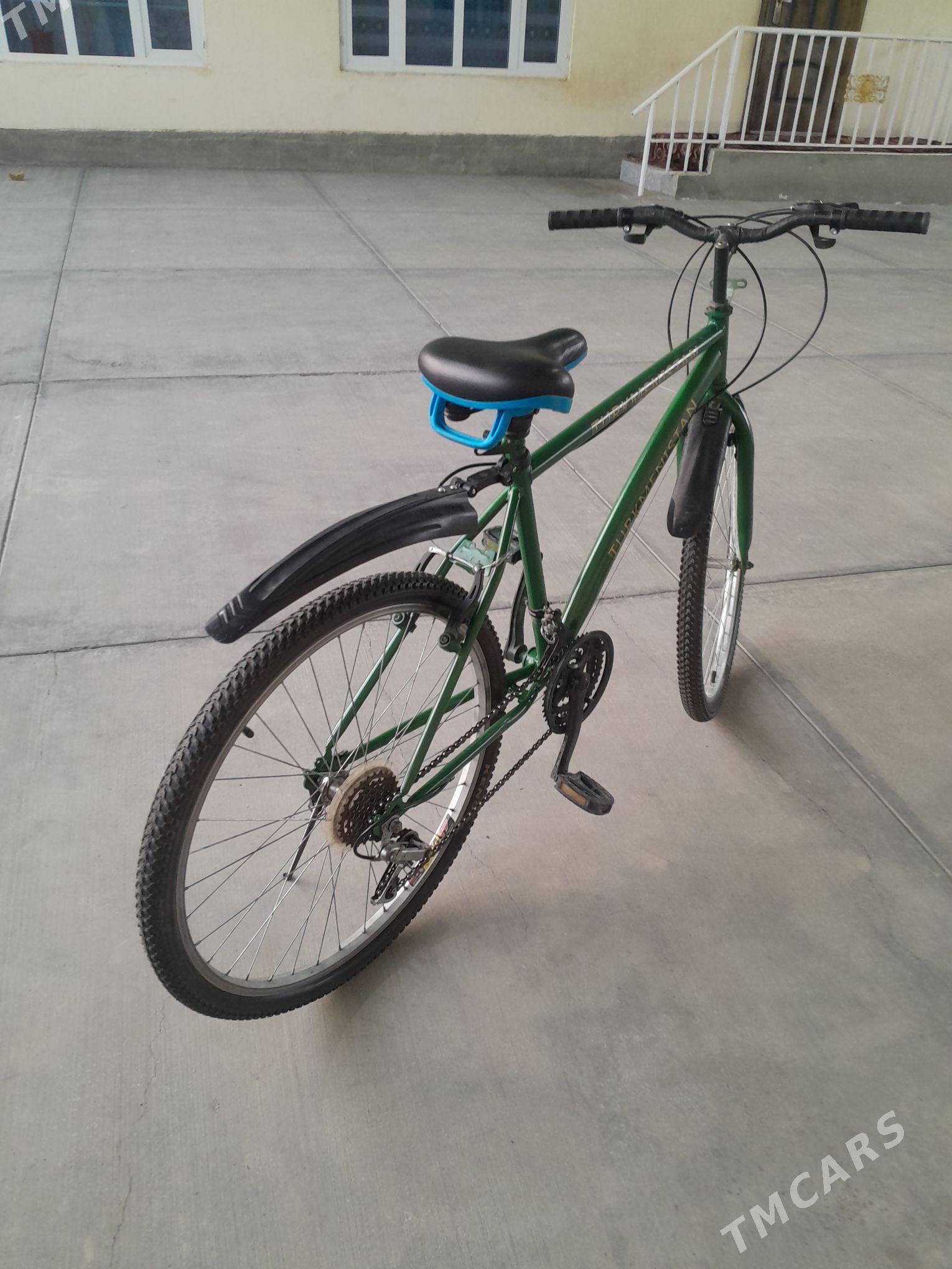 Tigr - Кипджак - img 3