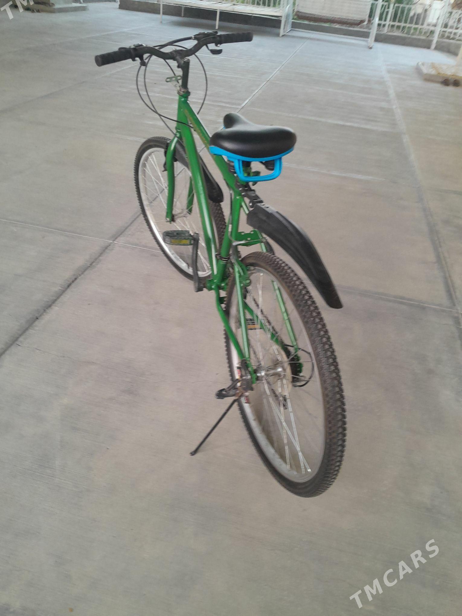 Tigr - Кипджак - img 4