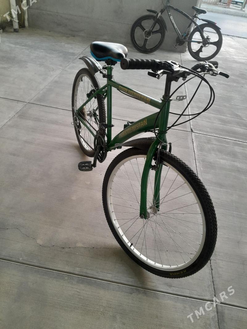 Tigr - Кипджак - img 2